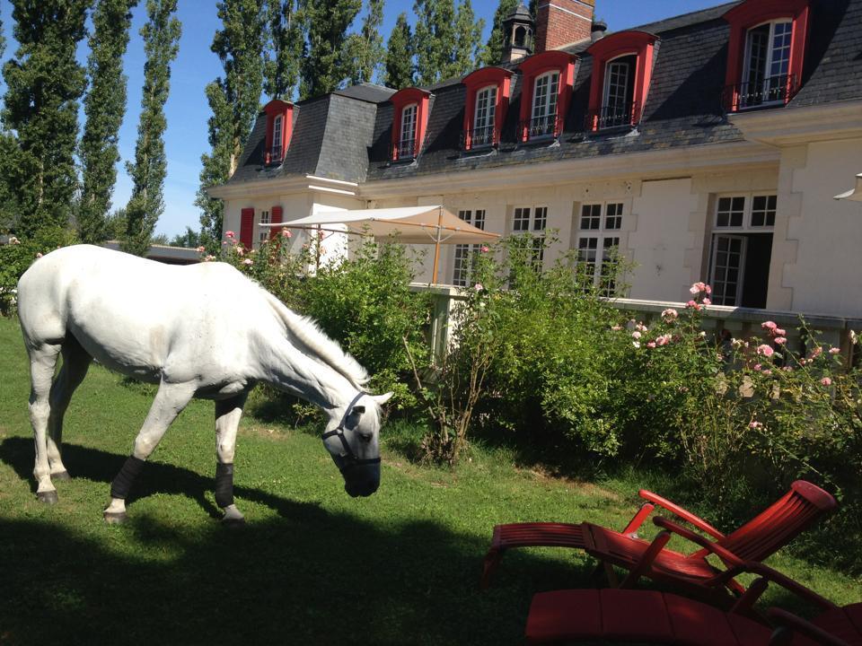 Hotel Le Domaine De Barbizon Saint-Martin-en-Bière Exterior foto